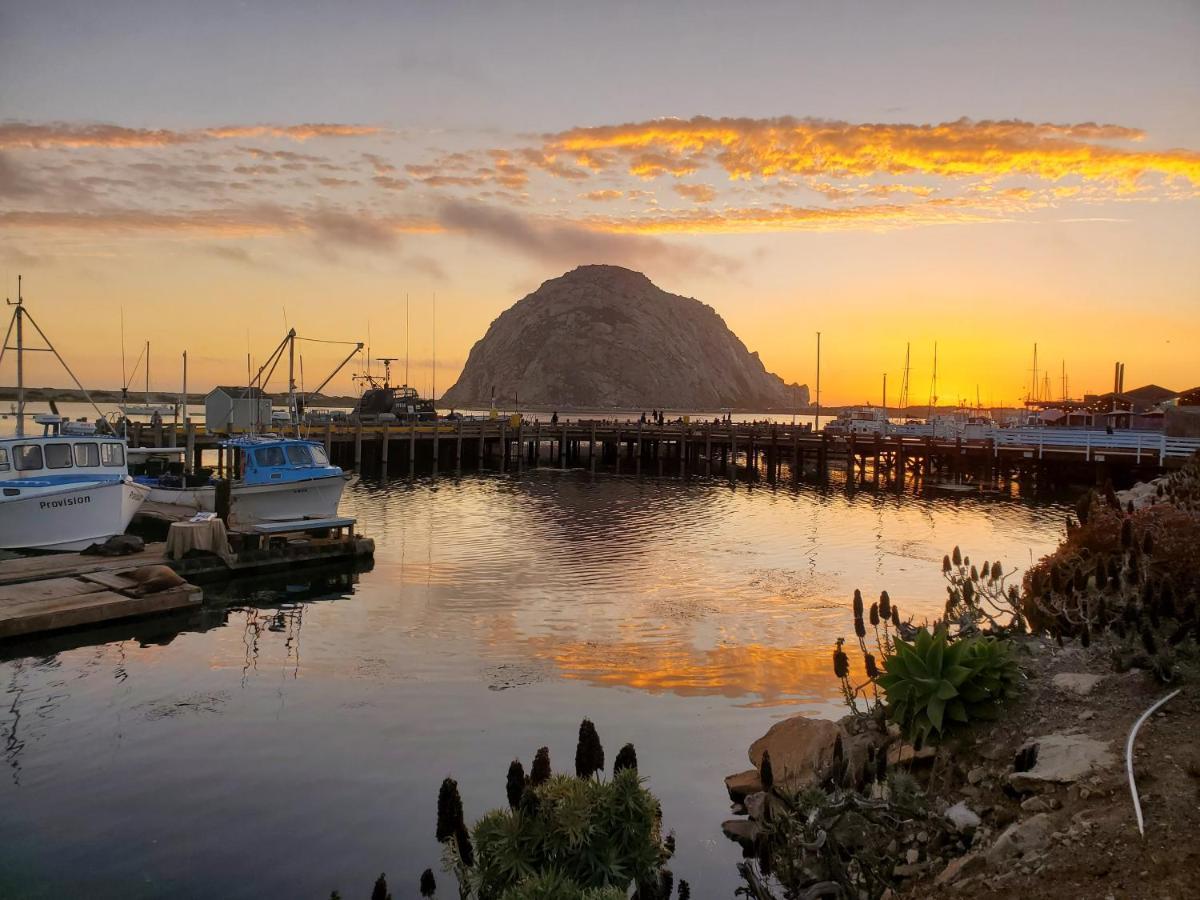 Gray'S Inn & Gallery Morro Bay Bagian luar foto